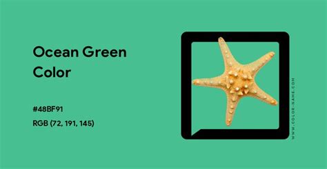 Ocean Green color hex code is #48BF91 | Green colour palette, Split ...