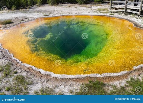 The Colorful Famous Morning Glory Pool Hot Spring In Yellowstone National Park Usa Stock Image