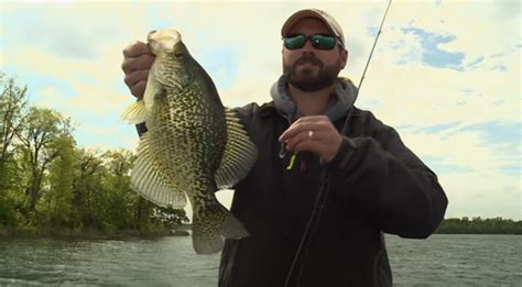 Top 10 Fish To Catch In Florida