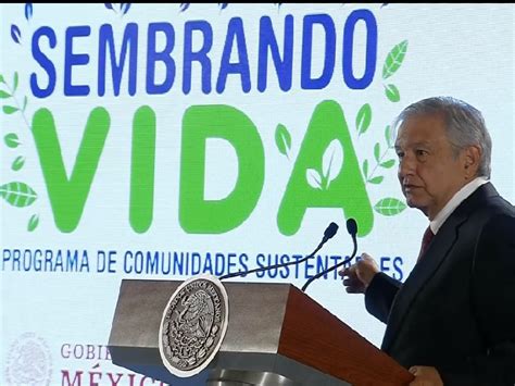 México pondrá a prueba el programa Sembrando Vida ante Estados Unidos