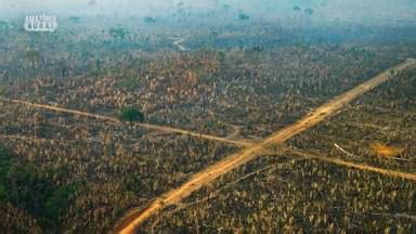 Amaz Nia Rural Rond Nia O Terceiro Estado Que Mais Desmata Globoplay