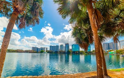 Palmeras Con Rascacielos Al Fondo En El Parque Del Lago Eola En Orlando