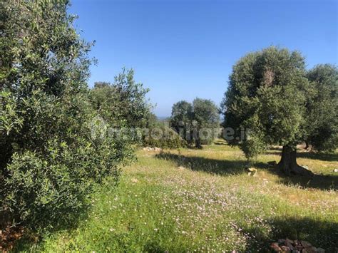 Vendita Villa Unifamiliare In Contrada Macchia Pagano San C Carovigno