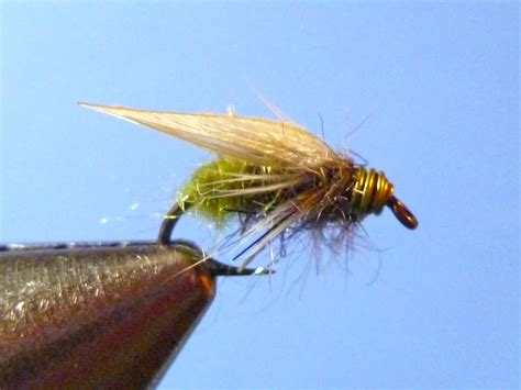 Sbs Korns Wh Apple Caddis Emerger