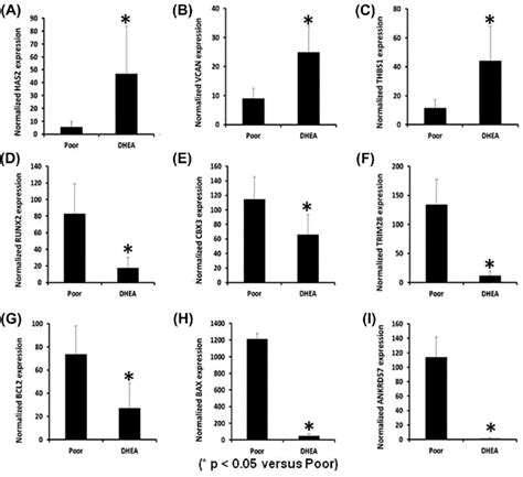 Quantitative Real Time Polymerase Chain Reaction Analysis Of Gene