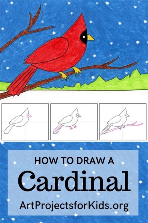 Easy How To Draw A Cardinal Tutorial And Cardinal Coloring Page Artofit