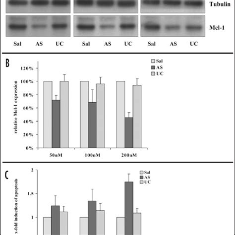 Il 6 Induces Mcl 1 Expression In Gastric Cancer Cells Nci N87 Left