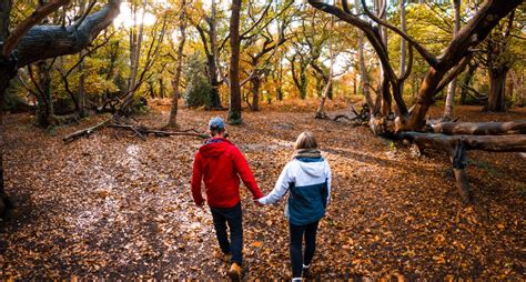 Best Places For Autumn Colour On The Isle Of Wight Visit Isle Of Wight