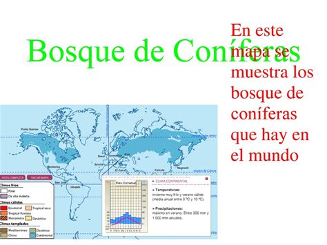 En Qu Regiones Se Encuentran Los Bosques De Con Feras Vostan