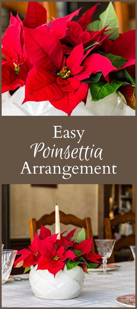 Diy Poinsettia Centerpiece For Your Holiday Table Poinsettia