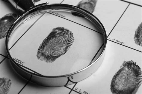 Background Checks And Fingerprint Eltial Security Investigation Firm