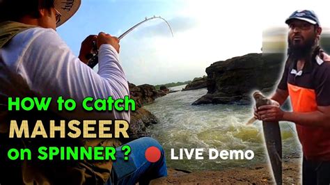 How To Catch Mahseer Fish On Spinner Lure महाशीर मछली पकड़ने का