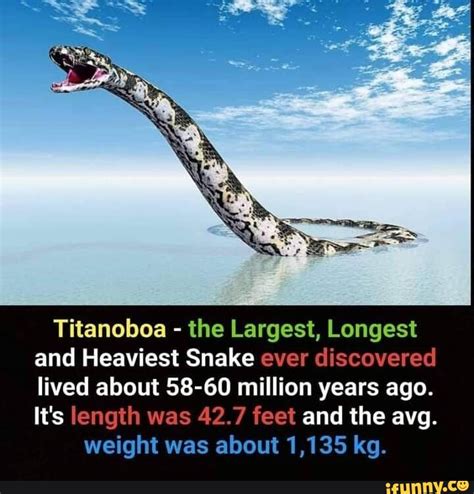 Titanoboa The Largest Longest And Heaviest Snake Ever Discovered