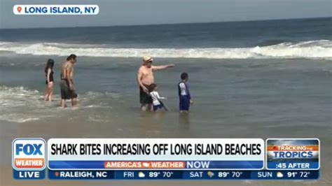 Summer Of The Shark Sightings Close Another New York Beach Hours After