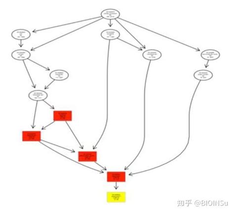 基因富集分析理解 知乎