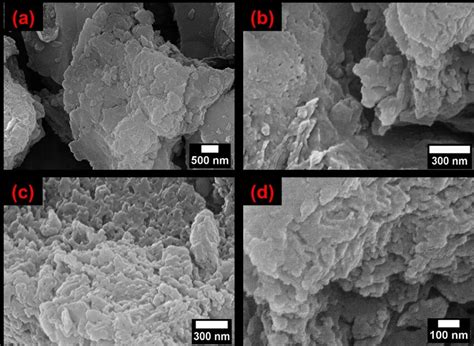 SEM images of the Pt-PCN photocatalyst at different magnifications. | Download Scientific Diagram