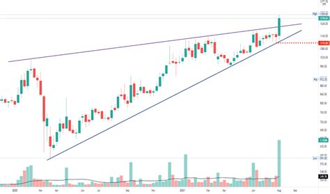 Tatainvest Stock Price And Chart — Nse Tatainvest — Tradingview