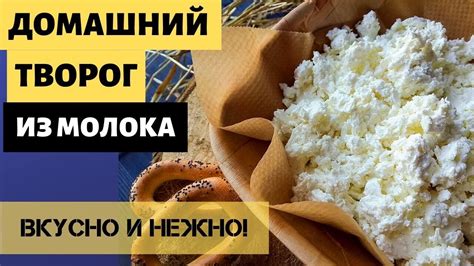 КЛАССИЧЕСКИЙ РЕЦЕПТ ДОМАШНЕГО ТВОРОГА. КАК ПРИГОТОВИТЬ ТВОРОГ В ...