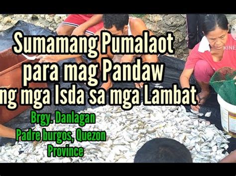 Sumamang Pumalaot Sa Dagat Para Mag Pandaw Ng Mga Isda Sa Lambat Jun