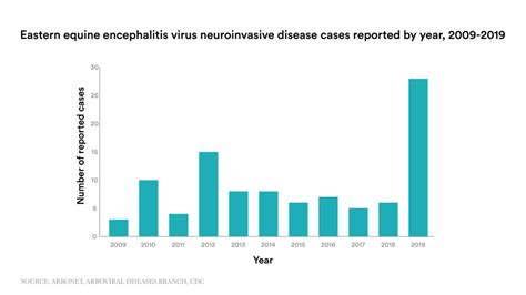 What To Know About Eee A Mosquito Borne Virus On The Rise