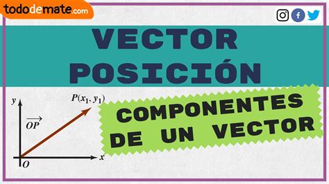 Qu Es El Vector Posici N Componentes De Un Vector Desde Cero