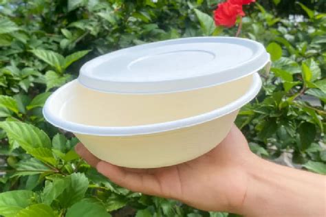 Platos Biodegradables Comercializadora Ecocosta Sas