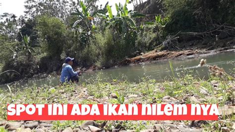 Strike Ikan Tambra Di Spot Ikan Nilem Melem Mancing Liar Youtube