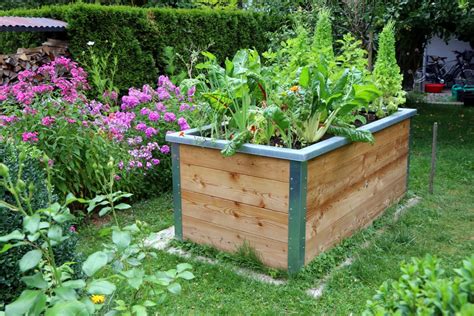 How To Keep Critters Out Of Raised Garden Beds Beatpests