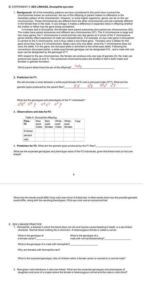 Solved D EXPERIMENT SEX LINKAGE Drosophila Eye Chegg