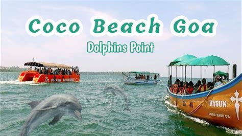 Coco Beach Goa Dolphins Point Coco Beach Dolphins Trip North Goa Boat Tour Coco Beach