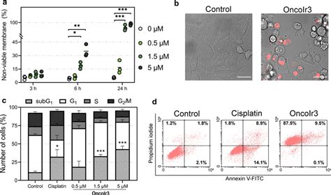 A Membrane Integrity Test Of A Cells Determined By Propidium Iodide