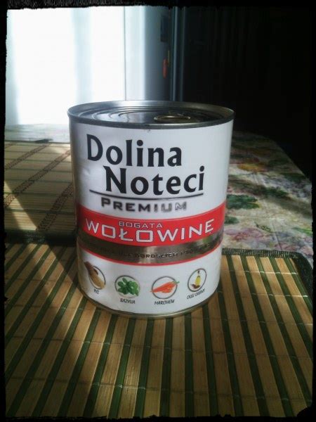 Dolina Noteci