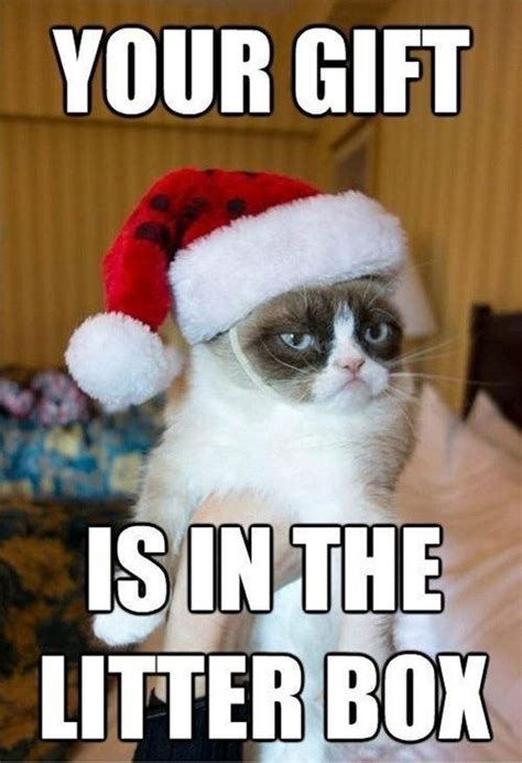 Pin By Alethea On Holidays Are Coming Grumpy Cat Christmas Funny