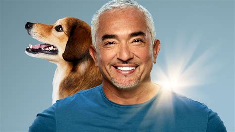 Cinego | Watch Cesar Millan: Better Human, Better Dog (2021) Online ...