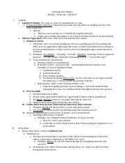 Hoeffel Crim Fall Other Student Outline Docx Criminal Law