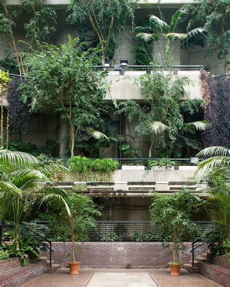 Barbican Conservatory · London, UK - IGNANT