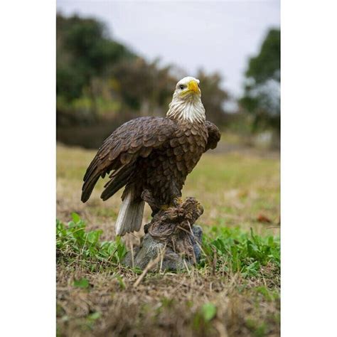 Eagle Garden Statue Motion Sensor Sculpture Bird Figurine Outdoor Yard