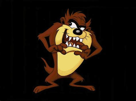 Gangster Tasmanian Devil Cartoon List Taz Mania Hd Wallpaper Pxfuel