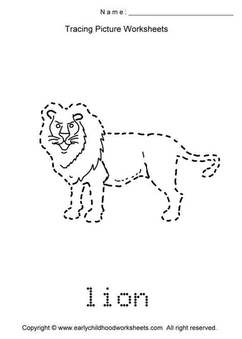 Tracing Lion Picture Tracing Pictures Lion Pictures Pictures