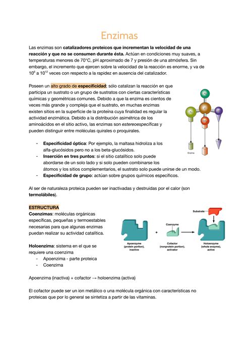 Solution Enzimas Bioquimica Medica Studypool