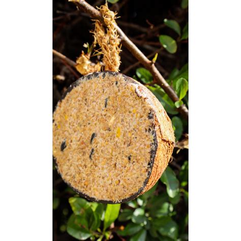 Demi Noix De Coco Pour Oiseaux Aux Vers De Farine Jardin Et Saisons