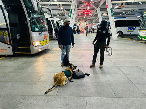 Agente Canino De La SSP Detecta Droga En La Central De Autobuses De