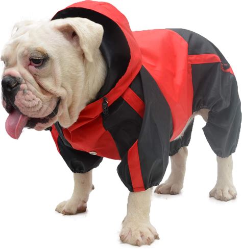 Ropa Para Mascotas Ropa Para Perro Ropa Para Lluvia Nieve