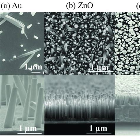 Sem Images Of Zno Nws Grown On A Au B Zno And C Azo Seed Layers