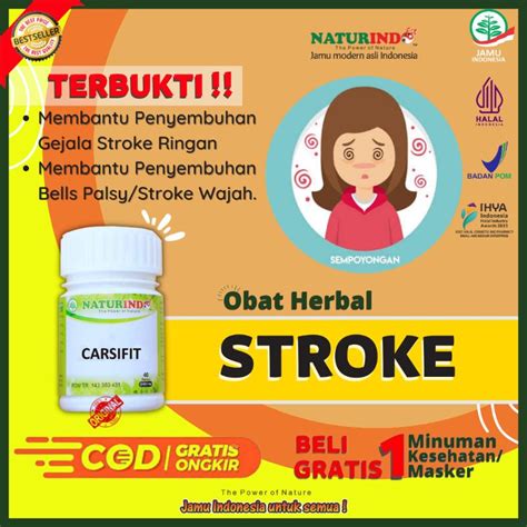 Jual Obat Stroke Ampuh Stroke Ringan Lumpuh Menahun Bells Palsy Struk