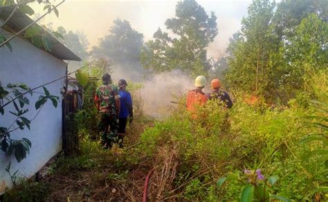 Karhutla Bintan Hanguskan Hektar Lahan Pt Bai Dan Warga