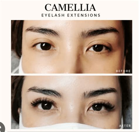 D To D Pre Made Fan Lash Extensions Camelia Lashes Hm Vinlash