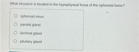 Solved What structure is located in the hypophyseal fossa of | Chegg.com