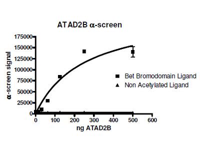 Atad B Inhibitor Screening Assay Kit From Bps Bioscience Inc