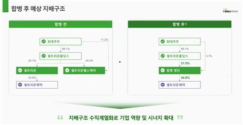 셀트리온 3사 합병 시동서정진 ‘절대 지배’ 아래 2세 승계 관심 서울신문